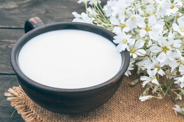 Junto a las pequeñas flores blancas hay una taza con leche . —  Fotos de Stock