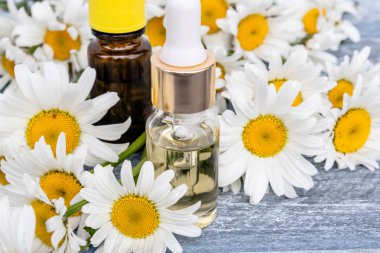 Bir cam şişe papatya esansiyel yağ papatya çiçekleri yakınındaki mavi panoları üzerinde duruyor.