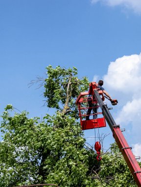 Ağaç budama ve mekanik bir telesiyej platformu üzerinde duran bir testere ile bir adam tarafından testere testere ile testere.