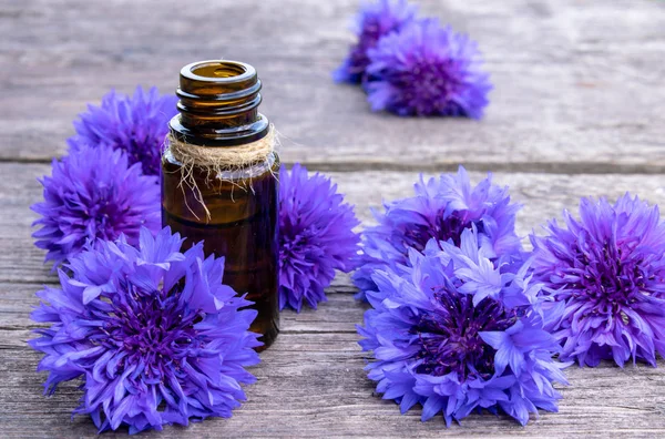 Cornflower essential oil. Cornflower flowers — Stock Photo, Image