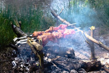 Doğada pişmiş ateşe şiş et.