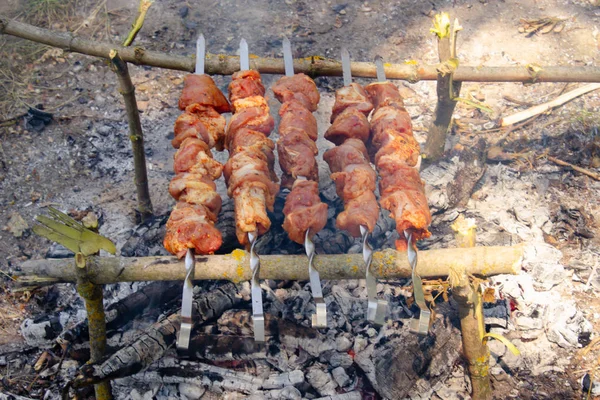 La carne sobre los pinchos sobre fuego cocido en la naturaleza . — Foto de Stock