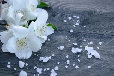 Beyaz yasemin çiçekleri ve yeşil yaprakları ahşap bir arka planda yatıyor. Metniniz için bir yer var.