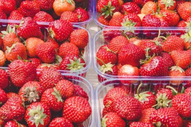 Plastik kutularda taze sulu çilek porsiyon kutuları.