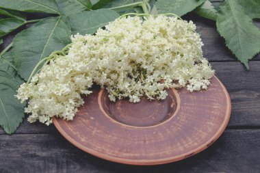 Beyaz çiçekler ve mürver yaprakları rustik ahşap arka planda bir kase üzerinde yalan.