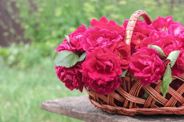 Букет красных роз в корзине на фоне зеленой травы . — стоковое фото