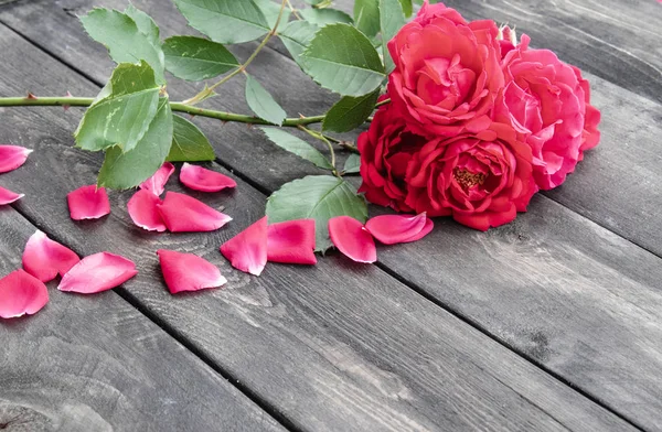 Розы и лепестки на старой деревянной доске. Рама цветов . — стоковое фото