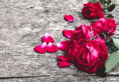 Eski tahta bir tahtada güller ve yapraklar. Çiçek çerçevesi.