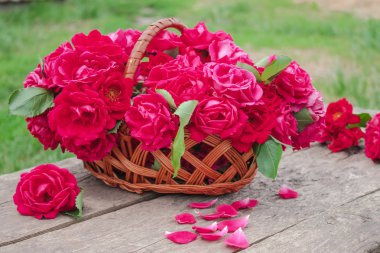 Yeşil çim bir arka plan üzerinde bir sepet içinde kırmızı gül bir buket.