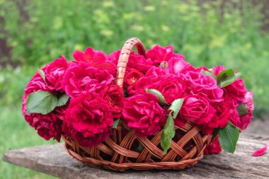 Yeşil çim bir arka plan üzerinde bir sepet içinde kırmızı gül bir buket.