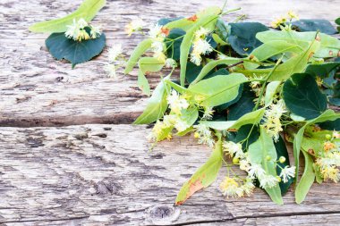Ihlamur çiçekleri eski ahşap plakalar üzerinde yalan.
