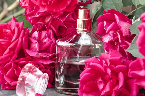 Parfüm şişesi kırmızı güllerle çevrili. — Stok fotoğraf