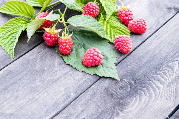 Ripe red raspberries with green leaves on the background of old dark boards. Copy space. — Stock Photo, Image