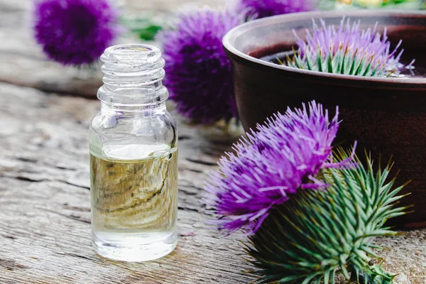 Distel ätherisches Öl in einer Flasche auf dem Tisch in der Nähe der Distelblumen auf Holzgrund. — Stockfoto
