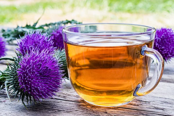 Doğa üzerinde odunsu bir arka plan üzerinde devedikeni çayı bir fincan. Çay ile fincan yanında Thistle çiçekler. Bitkisel çay.
