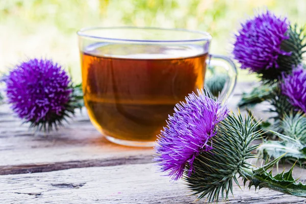 Doğa üzerinde odunsu bir arka plan üzerinde devedikeni çayı bir fincan. Çay ile fincan yanında Thistle çiçekler. Bitkisel çay.