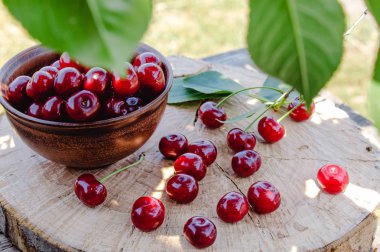 Bir seramik kase ve bir kiraz ağacının bir şube kiraz. Eski ahşap tahtalar üzerinde tatlı organik meyveler.