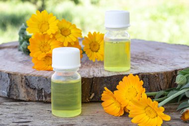 doğada ahşap bir arka planda Calendula sarı çiçekler yakın Calendula Esansiyel Yağı. Calendula tentürü özü.