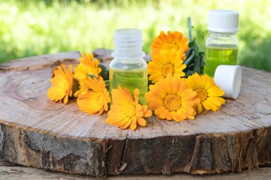 Doğada ahşap bir arka planda Calendula çiçekler ile aromaterapi esansiyel yağı. Calendula tentürü özü.