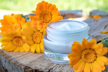 Calendula ile vücut bakımı için krem. Doğada ahşap bir arka planda taze turuncu Calendula çiçekler. Calendula çiçekleri ile cilt temizliği için kozmetik krem.