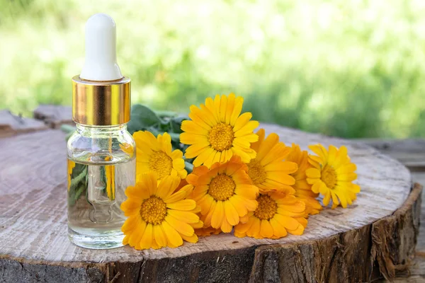 Aromaterapi minyak esensial dengan bunga kalendula pada latar belakang kayu di alam. Ekstrak jahitan dari kalendula . — Stok Foto
