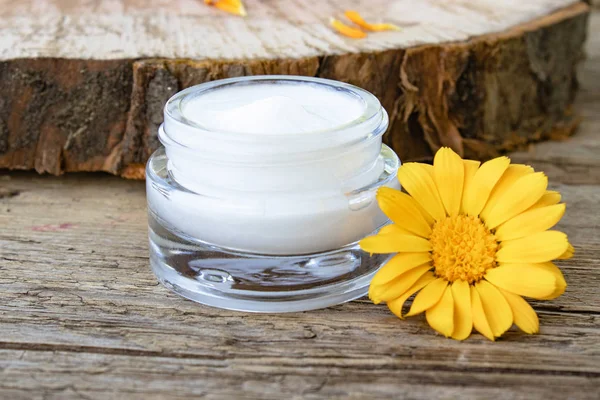 Vücut bakımı için beyaz kozmetik krem bir kavanoz. Ahşap arka planda taze turuncu Calendula çiçekler.