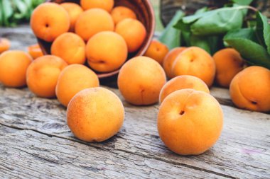 Ahşap bir masada yeşil yaprakları yanında bir kase lezzetli olgun kayısı.