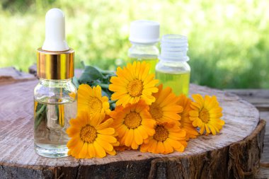 Doğada ahşap bir arka planda Calendula çiçekler ile aromaterapi esansiyel yağı. Calendula tentürü özü.