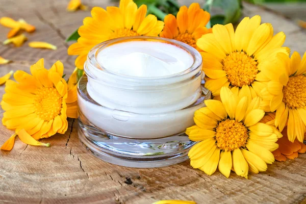 A jar of white cosmetic cream for body care. Fresh orange calendula flowers on wooden background.