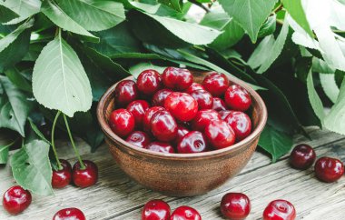 Bir seramik kase ve bir kiraz ağacının bir şube kiraz. Eski ahşap tahtalar üzerinde tatlı organik meyveler.