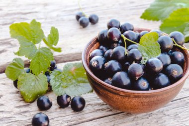Yeşil yaprakları yakın ahşap arka planda bir kase taze olgun frenk üzümü çilek. Sulu meyve kuş üzümü. Siyah frenk üzümü
