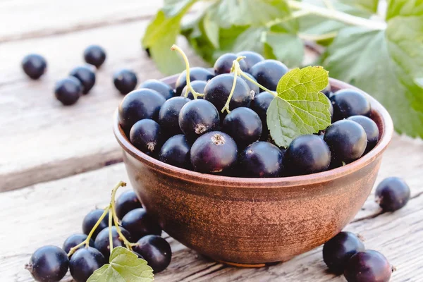 Baies de groseilles fraîches mûres dans un bol sur fond de bois près des feuilles vertes. Cassis de fruits juteux. Cassis — Photo