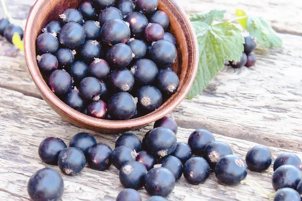 A groselha preta fica ao lado das folhas verdes em um fundo de madeira. Groselha de frutas naturais suculentas . — Fotografia de Stock