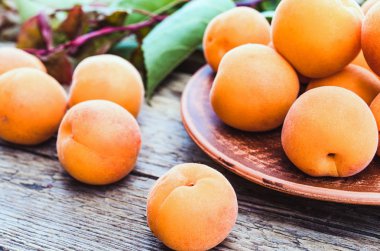 Ahşap bir masada yeşil yaprakları yanında bir kase lezzetli olgun kayısı.