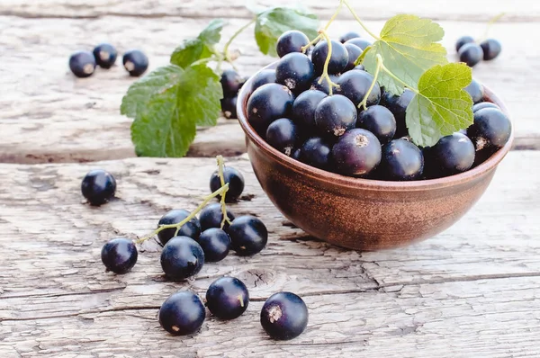 Baies de groseilles fraîches mûres dans un bol sur fond de bois près des feuilles vertes. Cassis de fruits juteux. Cassis — Photo