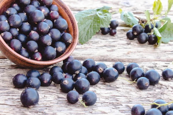 A groselha preta fica ao lado das folhas verdes em um fundo de madeira. Groselha de frutas naturais suculentas . — Fotografia de Stock