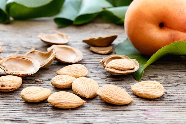 Apricots near pits and apricot pits on the background of old boards. Apricot pits for the manufacture of tablets and drugs. — Stock Photo, Image