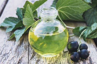 Eski panoların arka planında bir şişe siyah frenk üzümü yağı. Siyah frenk üzümü soğuk çare özü.