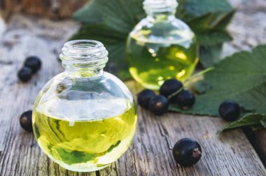 Eski kurulların arka planda siyah frenk üzümü özü tentür çare infüzyon bir şişe. Siyah frenk üzümü yağı.