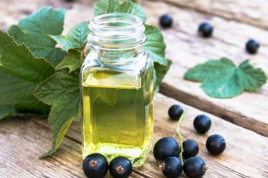 Özü ile cam şişe yakınında siyah frenk üzümü Taze çilek. Siyah frenk üzümü ile Tıbbi tentür.