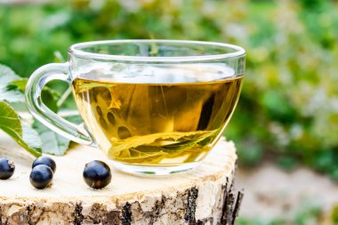 Siyah frenk üzümü yaprakları ile bir fincan çay. Açık havada ahşap bir masada kuş üzümü ile çay.