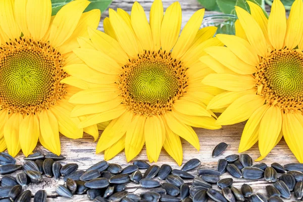 Sonnenblumenkerne neben der Blume einer Sonnenblume auf einem hölzernen Hintergrund. — Stockfoto