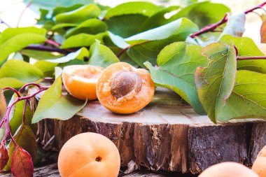 Olgun kayısı ve yeşil yaprakları eski bir ahşap masada yalan.
