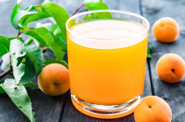 Kayısı ve eski tahtaları arka planda yeşil yaprakları ile bir şube ile taze kayısı suyu.