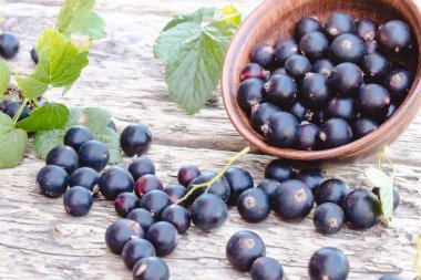 Siyah frenk üzümü ahşap arka planda yeşil yaprakları yanında yatıyor. Sulu doğal meyveler frenk üzümü.