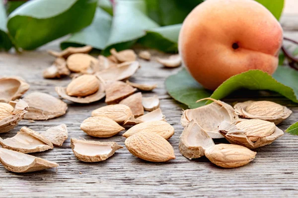 Apricots near pits and apricot pits on the background of old boards. Apricot pits for the manufacture of tablets and drugs. — Stock Photo, Image