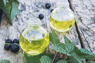 Eski panoların arka planında bir şişe siyah frenk üzümü yağı. Siyah frenk üzümü soğuk çare özü.