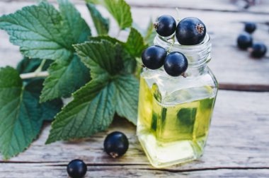 Cam şişede siyah frenk üzümü özü. Siyah frenk üzümü ile Tıbbi tentür.