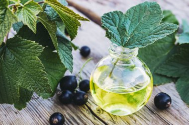 Cam şişede siyah frenk üzümlü tıbbi tentür. Siyah frenk üzümü soğuk çare özü.