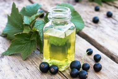 Özü ile cam şişe yakınında siyah frenk üzümü Taze çilek. Siyah frenk üzümü ile Tıbbi tentür.